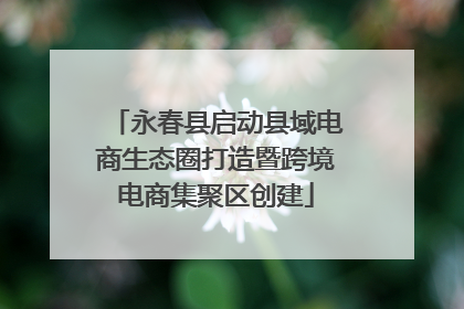 永春县启动县域电商生态圈打造暨跨境电商集聚区创建